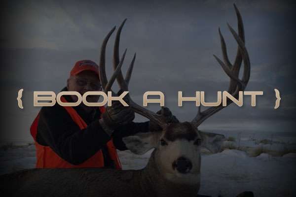Book A Hunt
